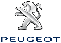 Peugeot Einmassenschwungrad